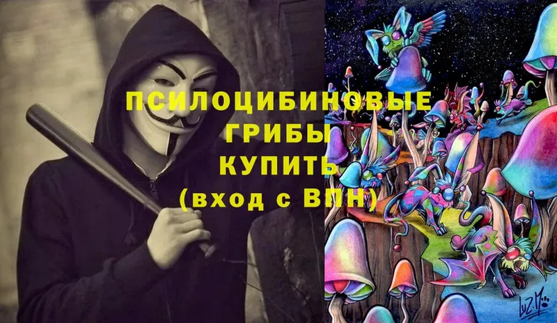 Галлюциногенные грибы Psilocybe  дарнет шоп  omg ссылка  Каменногорск 